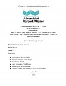 VASCULARIZACIÓN E INERVACIÓN DEL CUELLO. ASAS NERVIOSAS