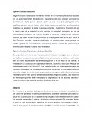 Opinión frente a Foucault.