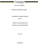 PROGRAMA DE INGENIERIA DE SISTEMAS, GUIA N° 2