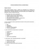 ESTUDIO DE MERCADO PARA EL GIM NEW WORLD