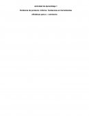 Evidencia de producto. Informe. Tendencias en herramientas ofimáticas para e – commerce