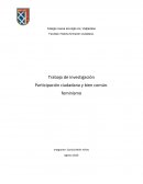 Trabajo de investigación. Participación ciudadana y bien común