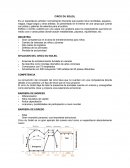 ESTRATEGIA DEL CIRCO DU SOLEIL