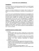 CHAGATEK ELISA (BIOMERIEUX)