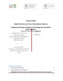 Programa de apoyo integral a la estratégia de prevemción de la violencia