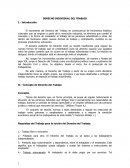 DERECHO INDIVIDUAL DEL TRABAJO