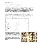 OBSERVACION DE FENOMENOS DE LA VIDA COTIDIANA