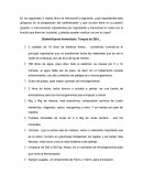 FERTILIZANTE ORGANICO