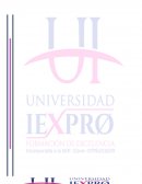 Síntesis de cómo hacer una Introducción, planteamiento, justificación, objetivos, delimitación y revisión preliminar de la literatura