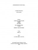 Actividad Colaborativa: Idea de negocio