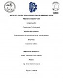 Estandarización de operaciones en el area de toberas