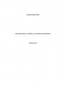 Calidad industrial procesos de producción