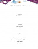 Identificar el conocimiento profesional del docente y su desarrollo