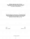 ESTRATEGIAS DIDÁCTICAS BASADAS EN LA NEUROPSICOLOGÍA PARA EL DESARROLLO DE LAS INTELIGENCIAS MÚLTIPLES DE LOS ESTUDIANTES DE SEXTO GRADO “C” DE LA UNIDAD EDUCATIVA COLEGIO “MARÍA DE LA PAZ”