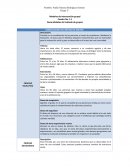 GENERALIDADES DEL MÉTODO DE GRUPOS