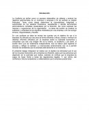 Programa de Trabajo de Auditoria