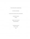 Análisis de la Entrevista Empresa Estilos y Variedades Caquetá