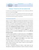 Trastornos del neurodesarrollo