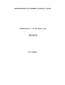 Reporte etapa 4 biologia
