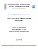 Practica N°4: Músculos de los vertebrados