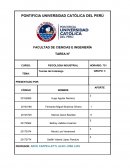 Teorías del Liderazgo