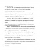 RESUMEN EJECUTIVO Natural Clean S.R.L.