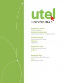 Formación de los profesionales y política educativa de la década de los noventas