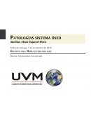 Patologías sistema óseo