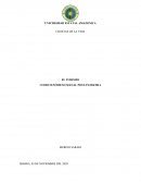 TURISMO COMO FENOMENO SOCIAL POST PANDEMIA