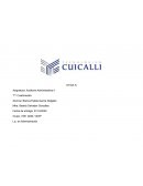 OTIDAS /CURCIGRAMA ANALÍTICO