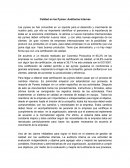 Calidad en las Pymes: Auditorías Internas