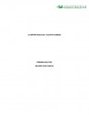 LA IMPORTANCIA DEL TALENTO HUMANO