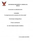 La importancia de la economía en la vida común