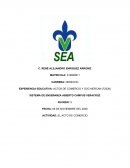 SISTEMA DE ENSEÑANZA ABIERTO CAMPUS VERACRUZ