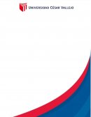 INFORME ACADÉMICO: DISEÑO ORGANIZACIONAL – OTANOR S.A