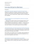 Los ojos del perro siberiano cuestionario