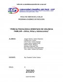 Pericia psicológica orientado en violencia familiar – (Niños, niñas y adolescentes)
