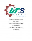 Ejes de la sustentabilidad empresa SAMSUNG