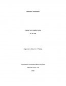 Seguridad y Salud en el Trabajo