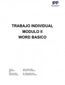 TRABAJO INDIVIDUAL MODULO II WORD BASICO