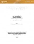 Estudio de caso sobre demandas cognitivas, psicológicas y físicas en el trabajo