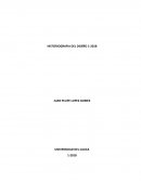 HISTORIA DEL DISEÑO COMO HISTORIA DE LAS CONCEPCIONES DEL DISEÑO