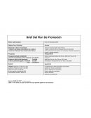 Brief Del Plan De Promoción