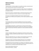 Negocios. Objetivos Estratégicos