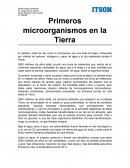 Ensayo primeros microorganismos de la Tierra