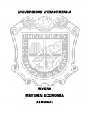 ECONOMÍA Y ECONOMICISMO