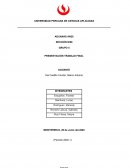 TRABAJO FINAL ADUANAS