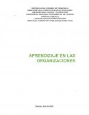 Aprendizajes en las organanizaciones