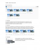 Reporte Gestalt Nexus