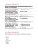 Actividades de aprendizaje